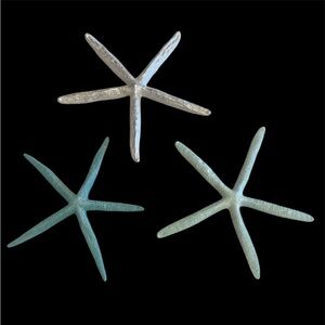 Starfish wall hangings set of 3 beach theme bed & bath accessories sea stars